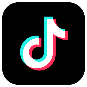 tiktok services